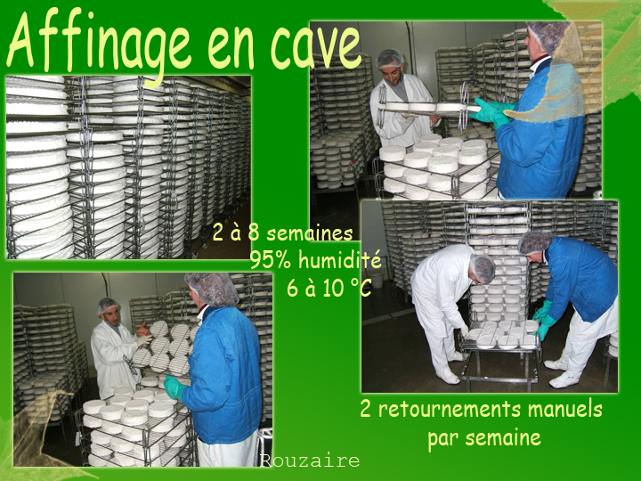 nos caves