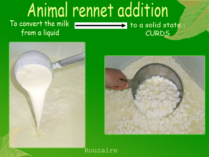 animal rennet addition