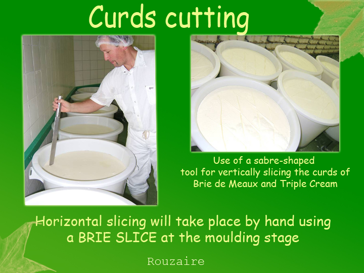 Curds cutting